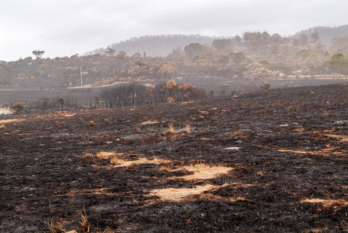 Couverture des dommages environnementaux dans les contrats multirisque