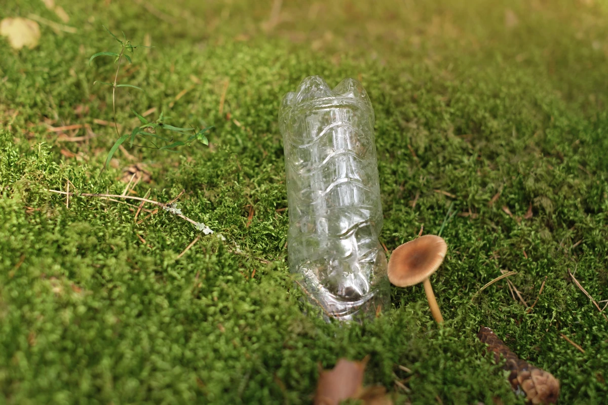 La pollution des eaux : une responsabilité pénale aux multiples facettes