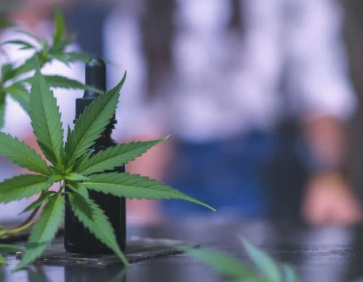 Huile CBD : Encadrement juridique du marketing des effets thérapeutiques allégués